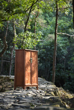 Load image into Gallery viewer, Cabinet at study room
